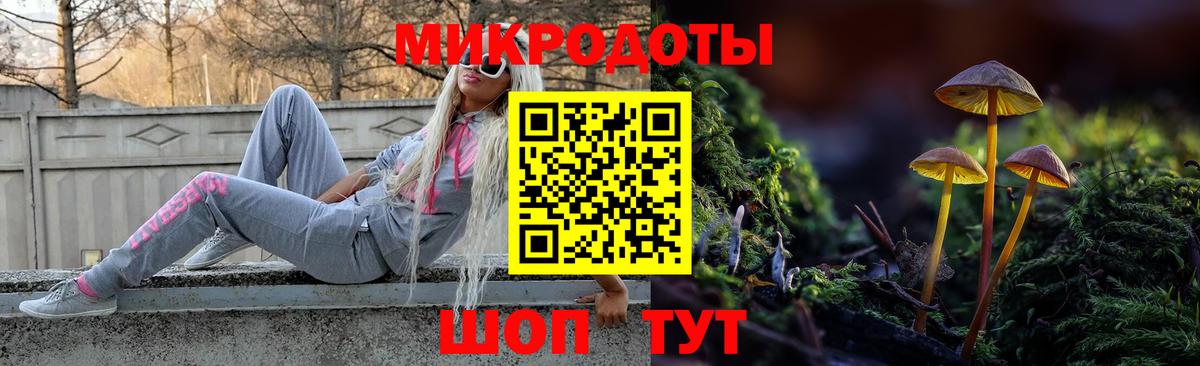 Галлюциногенные грибы GOLDEN TEACHER  Псилоцибиновые грибы Cubensis  Вход с VPN  Шали 